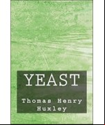 Yeast