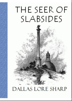 The Seer of Slabsides