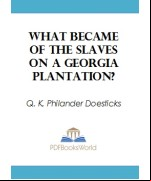 What Became of the Slaves on a Georgia Plantation?