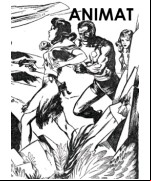 Animat
