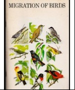 Migration of Birds (1979)