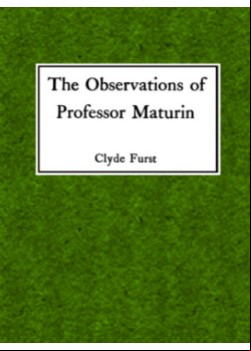 The Observations of Professor Maturin