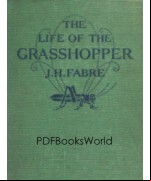 The Life of the Grasshopper