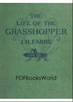 The Life of the Grasshopper