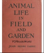 Animal Life in Field and Garden