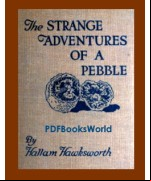 The Strange Adventures of a Pebble