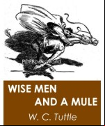Wise Men and a Mule