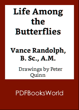 Life Among the Butterflies