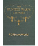 The Hunting Wasps