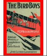 The Bird Boys' Aeroplane Wonder