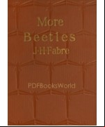 More Beetles
