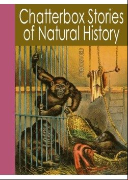 Chatterbox Stories of Natural History