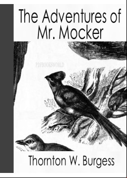 The Adventures of Mr. Mocker